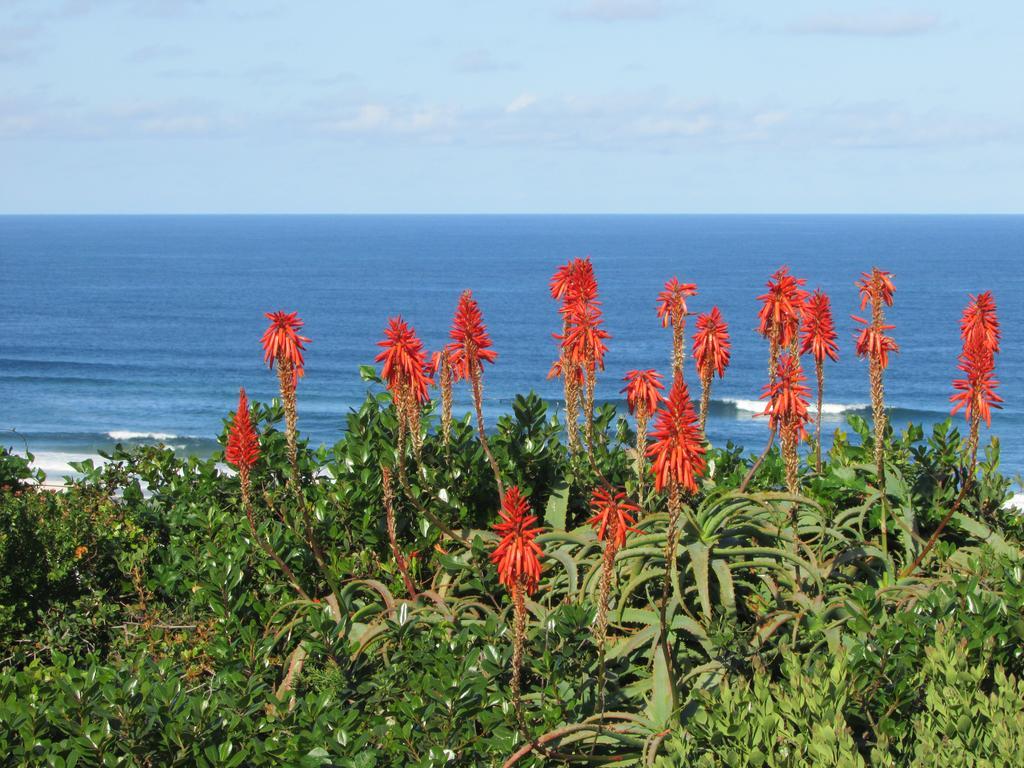 Melkhoutkloof Guest House Outeniqua Strand Exteriér fotografie